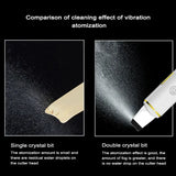 Ultrasonic skin scrubber facial ion cleaning vibrating