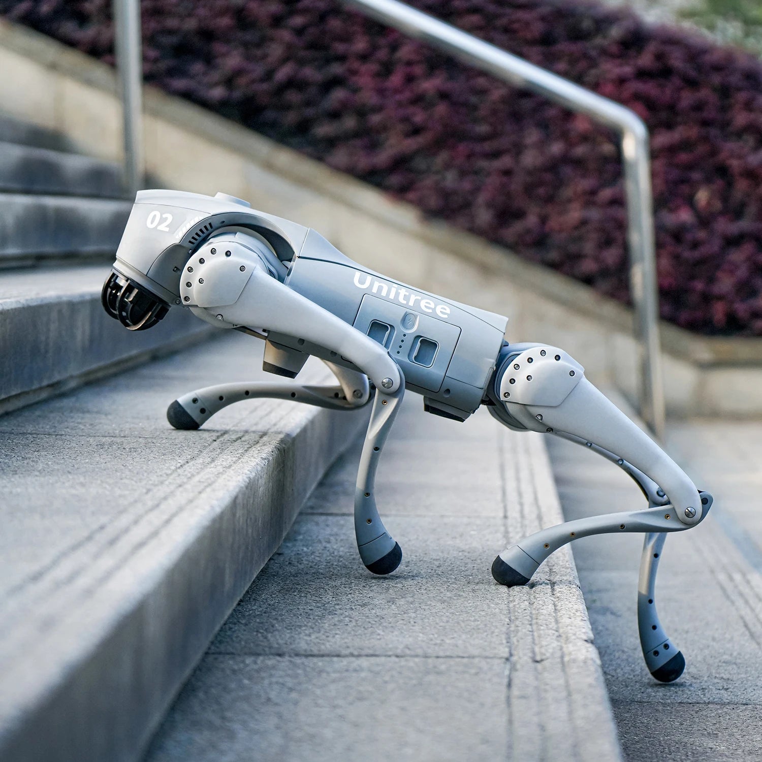 Unitree Go2 Robot Dog Quadruped Robotics for Adults Embodied AI（Go2 Air）