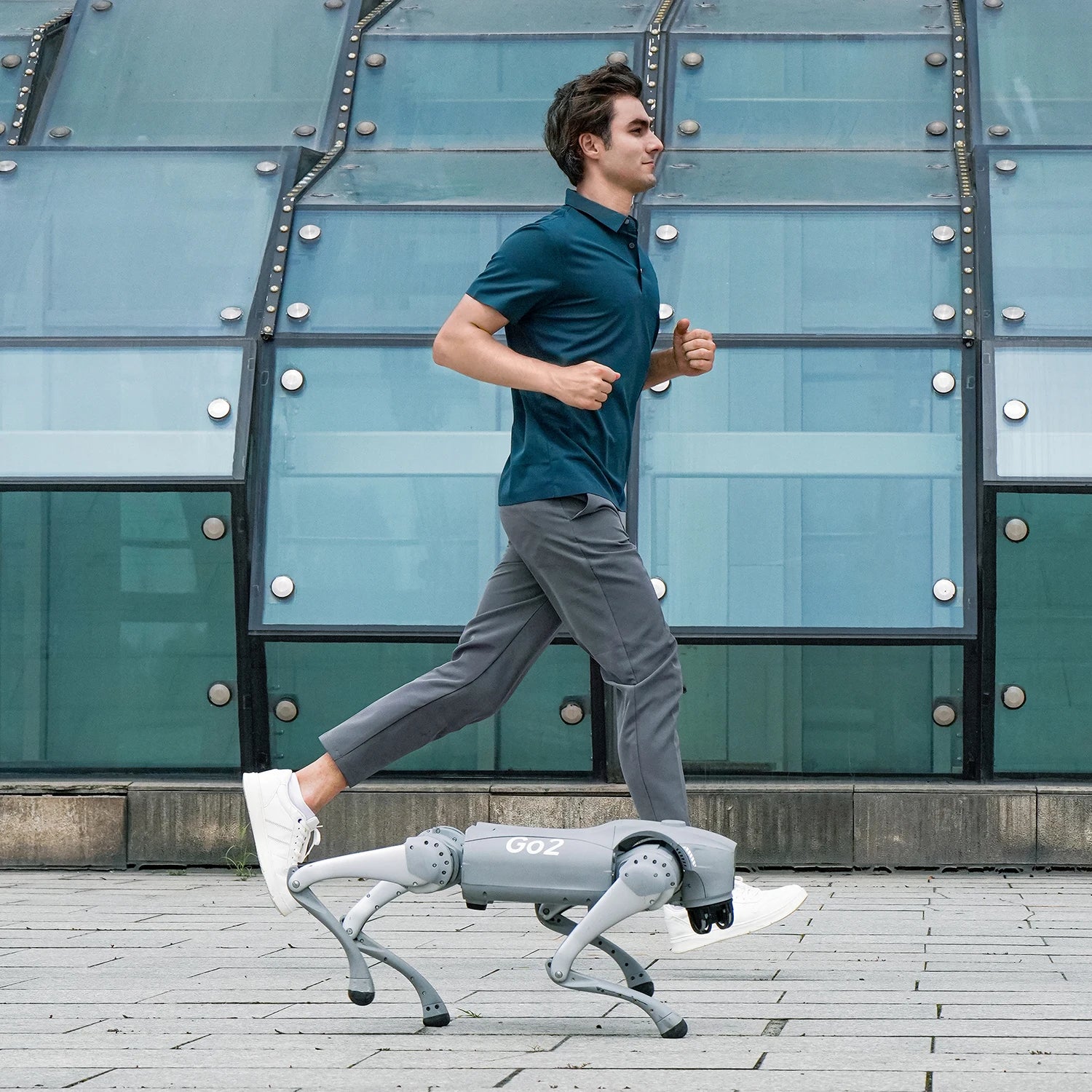 Unitree Go2 Robot Dog Quadruped Robotics for Adults Embodied AI（Go2 Air）